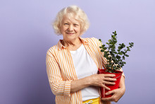 Active Senior Woman Smiling At Camera Keeping Potted Plant In Terracotta Pot In Hands. Aged Female Gardener Planting Flower In Pot