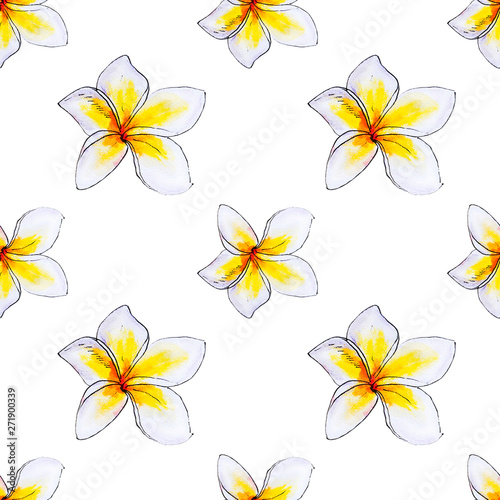 Seamless pattern from white plumeria flowers. Frangipani. Watercolor painting...