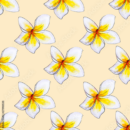 Seamless pattern from white plumeria flowers. Frangipani. Watercolor painting...