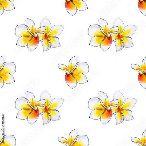 Seamless pattern from white plumeria flowers. Frangipani. Watercolor painting...