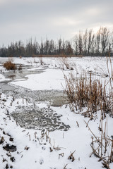 Wall Mural - Dry brown colored reeds in the foreground of a winter landscape