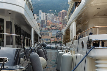 Wall Mural - Yachts docked at Port Hercules in La Condamine harbour. Cityscape of Monte Carlo. Principality of Monaco..