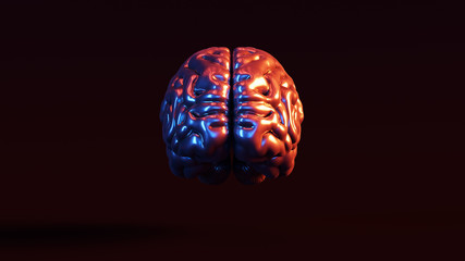 Wall Mural - Silver Human brain Anatomical with Red Blue Moody 80s lighting Front 3d illustration 3d render