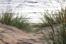 Düne, Ausblick Auf Das Meer Zwischen Gräser, Schilf Und Sand - Dune, Sea View Between Grasses, Reeds And Sand