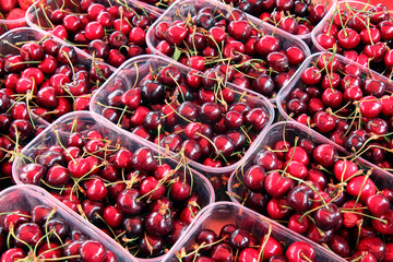 Wall Mural - cherry harvest in boxes top view