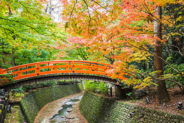Wall Mural - Every year on November to mid December, Kitano Tenmangu will open its garden to the public during the peak of the autumn leaf season.