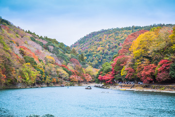 Wall Mural - Arashiyama and Katsura river is the famous destination for tourist in autumn of japan. Many tourists come to see the beautiful autumn colors near the river. 
