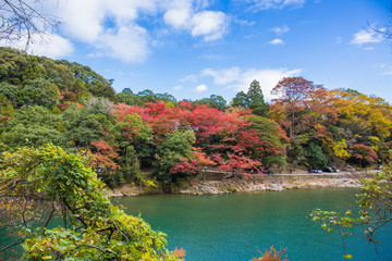 Wall Mural - Arashiyama and Katsura river is the famous destination for tourist in autumn of japan. Many tourists come to see the beautiful autumn colors near the river. 