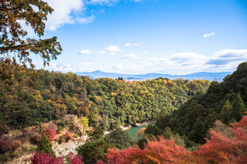Wall Mural - colorful of maple forest on the mountain at autumn season in Arashiyama, Kyoto, Japan. From observation view point at Senkoji temple, over hozu river.