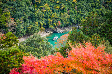 Wall Mural - colorful of maple forest on the mountain at autumn season in Arashiyama, Kyoto, Japan. From observation view point at Senkoji temple, over hozu river.