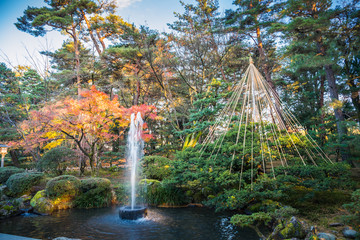 Wall Mural - Autumn foliage at Kenrokuen Garden in Kanazawa, Japan