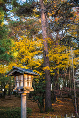 Wall Mural - Autumn foliage at Kenrokuen Garden in Kanazawa, Japan