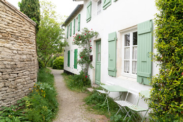 green alley nature in ile de re island in france