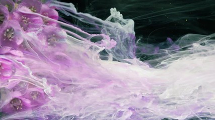 Wall Mural - Flowers of Bergenia. Colorful Pigment Flow.