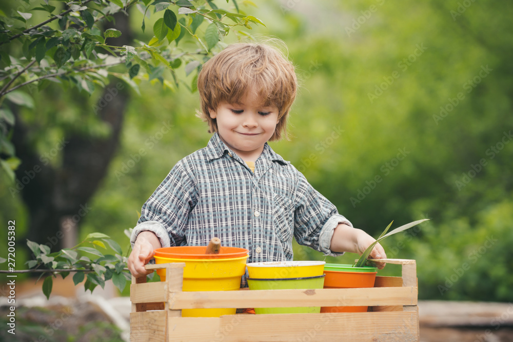 Harvest. A child holds pots with plants. Garden. Home garden. Healthy nutrition. Organic farm. - obrazy, fototapety, plakaty 