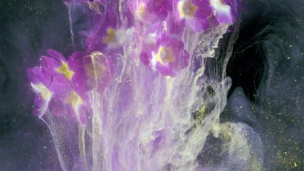 Wall Mural - Primrose Primula Vulgaris blossom. Colorful Pigment Flow.