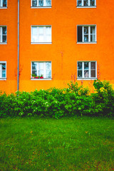 Wall Mural - orange apartment building with green bush in the foreground