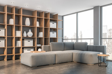 Gray living room corner with sofa