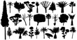 Trees set silhouette vector. Collection of plants and bushes. Isolated on a white background