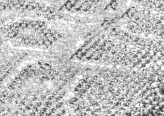 Snake skin grunge vector texture.Black and white background.