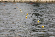 Yellow Buoys In Water