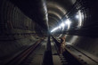 Dog in the tunnel of the Moscow metro