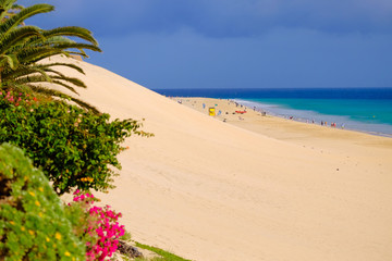 Wall Mural - Beach Playa del Matorral in Morro Jable on Fuerteventura, Canary Islands, Spain.