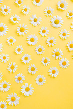 Floral Background. Pattern Of White Chamomile Daisy Flowers On Yellow Background.Summer Concept. Flat Lay, Top View, Copy Space