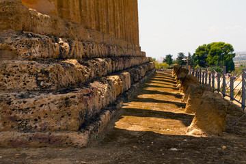 Sticker - Agrigento (Sicilita), Valle dei Templi