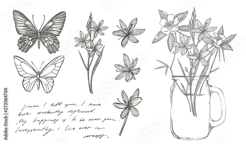 Butterflies silhouettes. Collection of hand drawn flowers and herbs. Botanica...