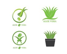 Aloevera Logo Icon Vector Illustration Design