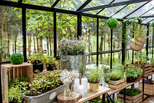 Photographie Beautiful herbs and flowers in the greenhouse