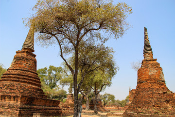 Wall Mural - Buddhist temple with ancient stupa in Ayutthaya, Thailand