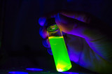 Fototapeta Młodzieżowe - Researcher hand holding green photochemical reaction in glass vial under UV light in a dark chemistry laboratory