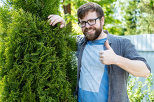 A Happy Young Man Is A Gardener, Grows An Thuja Evergreen Tree, Smiles And Rejoices At His Achievement Showing A Thumb Up Gesture.