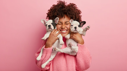 Photo of joyful dark skinned lady with Afro haircut, feels fun, carries two little french bulldog puppies, expresses affection, have good relationship, owner feels responsibility. Pedigree pets