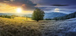 © Pellinni - day and night time change concept above the beech tree on the meadow in mountains. landscape with sun and moon. wonderful summer scenery of carpathian countryside. mountain ridge in the distance.