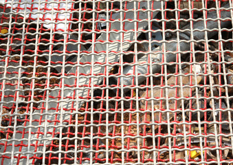 Sticker - wire mesh in the construction site