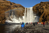 Fototapeta Tęcza - Skogafoss, wodospad na Islandii 