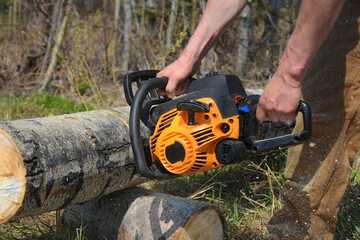 Cutting Firewood Closeup