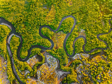 Creek Meandering Between The Mangroves From Straight Above