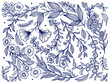 © ArinaKram - Abstract nature set collection hand drawn.Blue color in white background. Ethnic ornament, floral print, textile fabric, botanical element. Vintage retro style.