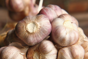 Wall Mural - Spicy cooking ingredient garlic for thai food