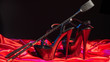 © filins - Adult sex games. Kinky lifestyle. Spank and a pair of black high-heeled shoes on the red linen. Bdsm outfit
