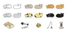 Cat Vector Kitten Calico Icon Logo Sleeping Toy Food Box Symbol Cartoon Character Illustration Doodle Design