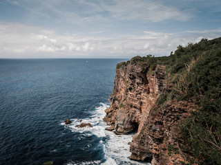 Wall Mural - coastline with ocean and rocks.