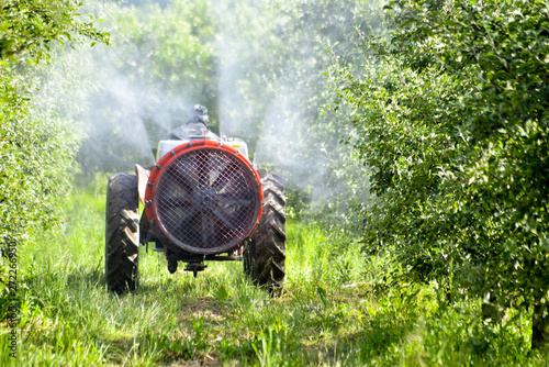 Cuadros en Lienzo Tractor sprays insecticide in apple orchard fields