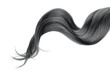 Black hair isolated on white background. Long wavy ponytail