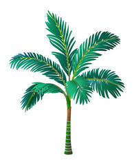 Canvas Print - vector illustration of palm tree.