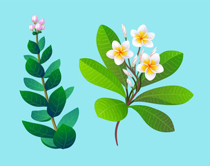 Canvas Print - vector illustration of tropical plants.